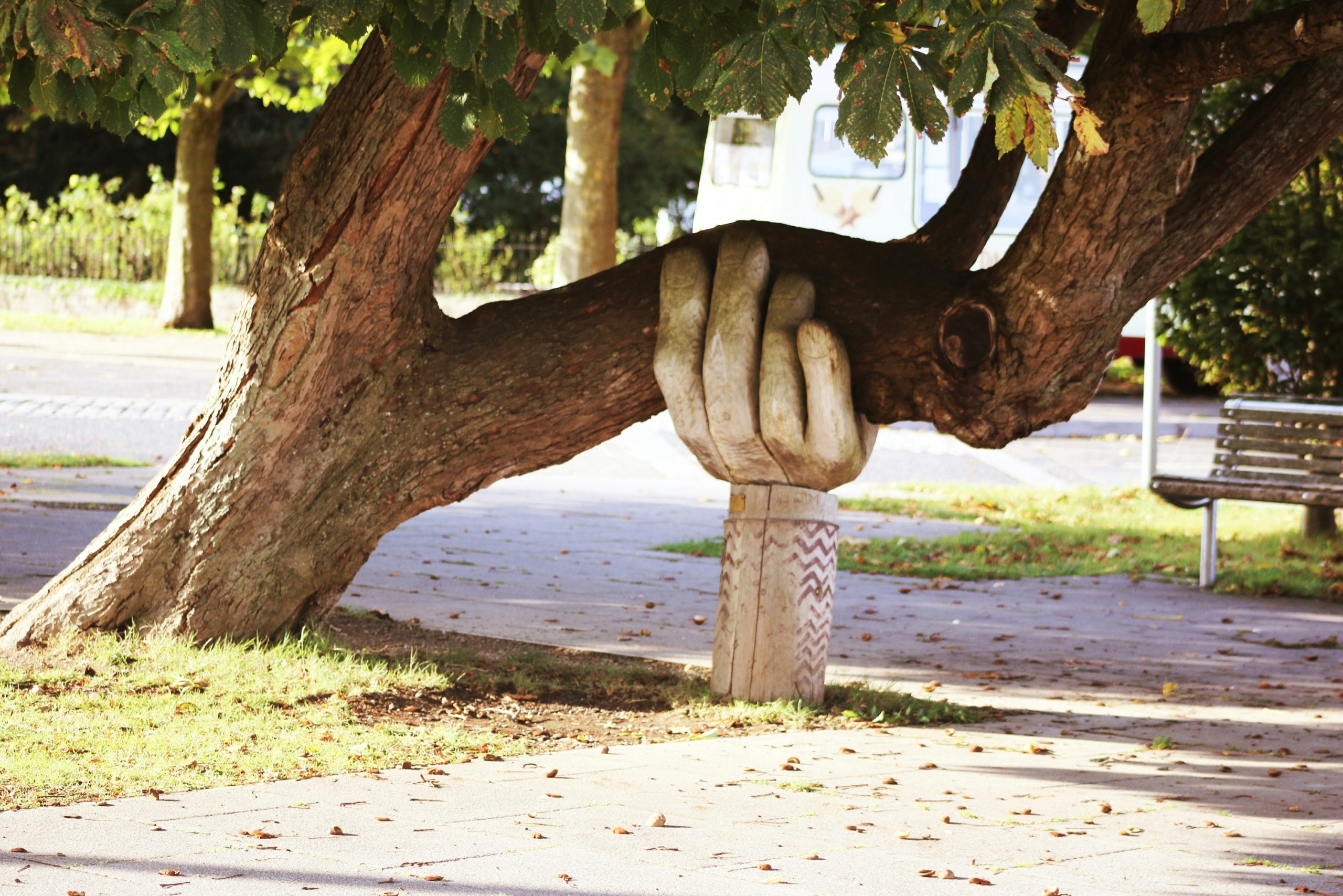 A public sculpture features a large wooden hand and forearm supporting a low-hanging tree branch.